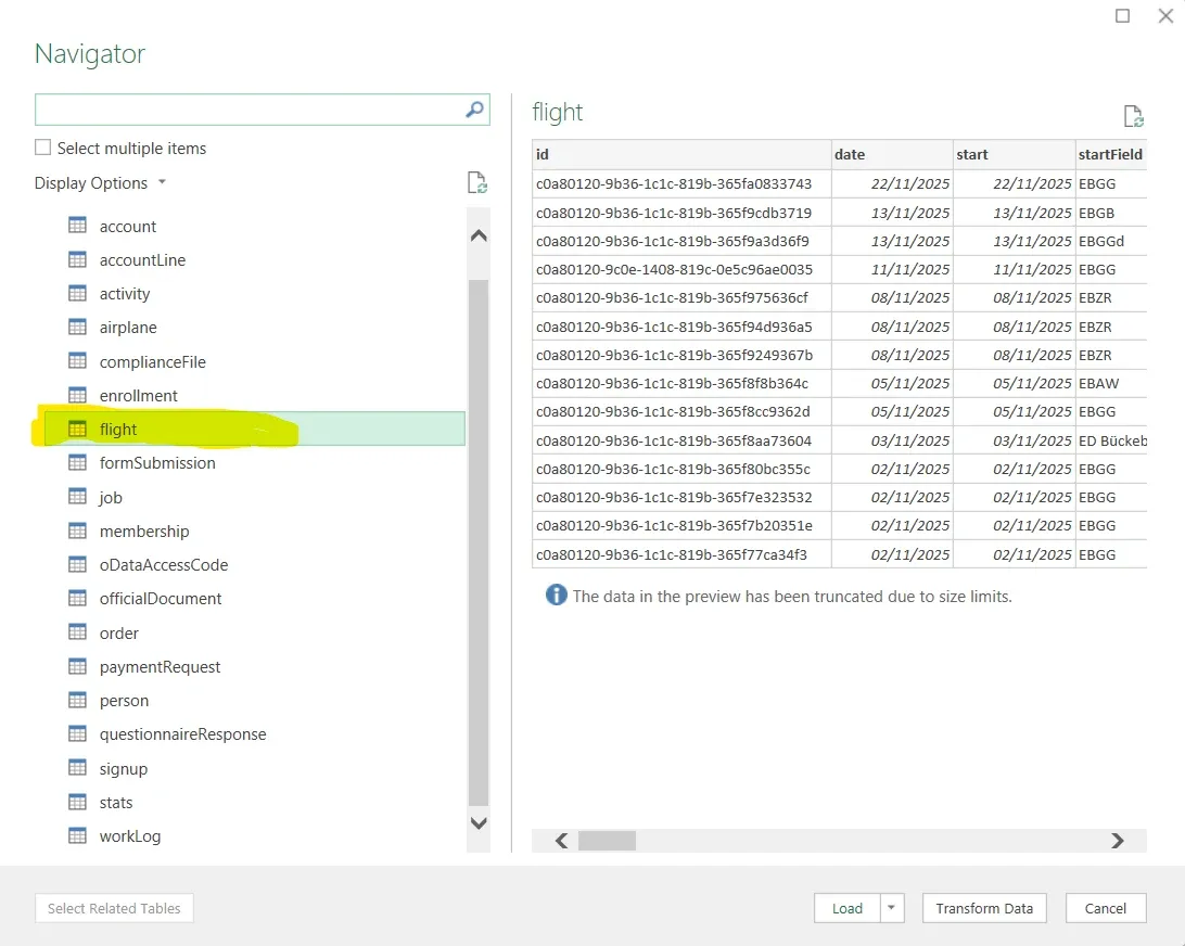 De Navigator van Excel met de lijst van entiteiten en flight geselecteerd